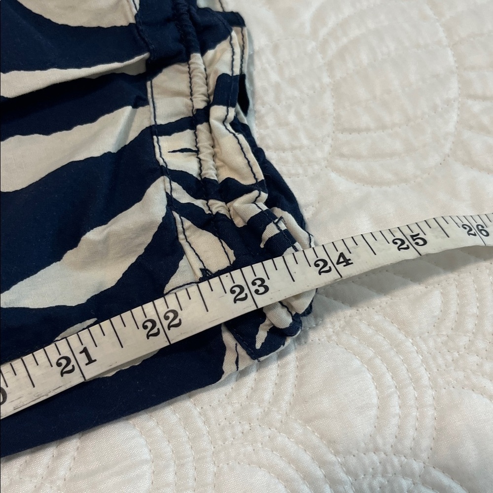 Democracy Capri - image 6